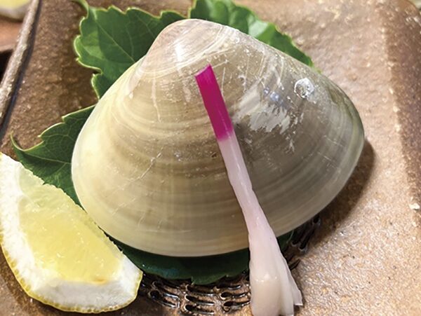 鴨島はまぐりの画像