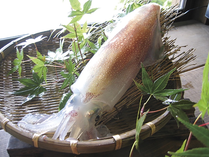 須佐男命いか