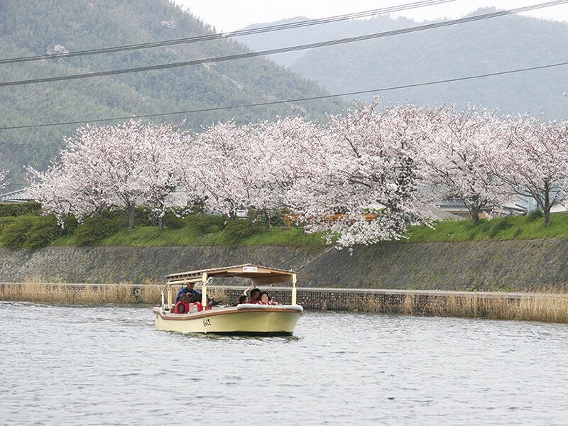 萩八景遊覧船の画像